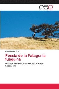 bokomslag Poesa de la Patagonia fueguina