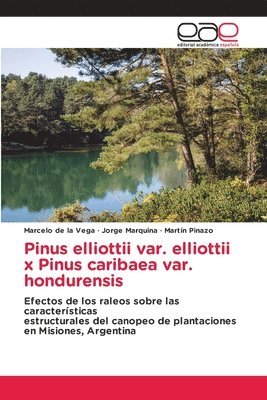 bokomslag Pinus elliottii var. elliottii x Pinus caribaea var. hondurensis