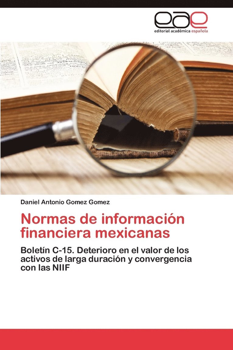 Normas de Informacion Financiera Mexicanas 1