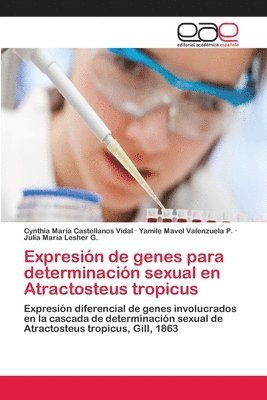 bokomslag Expresin de genes para determinacin sexual en Atractosteus tropicus