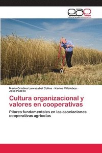 bokomslag Cultura organizacional y valores en cooperativas