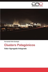 bokomslag Clusters Patagonicos