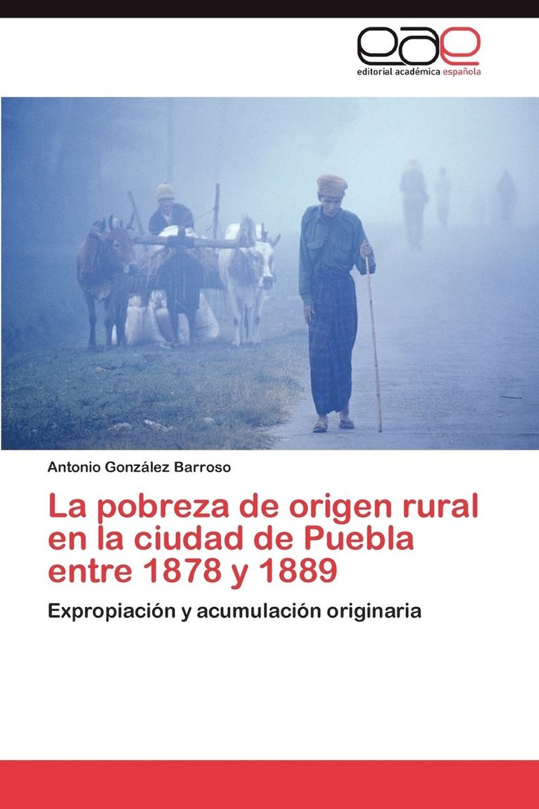 La Pobreza de Origen Rural En La Ciudad de Puebla Entre 1878 y 1889 1