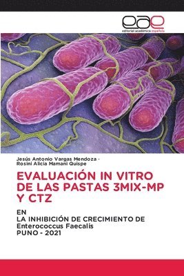 bokomslag Evaluacin in Vitro de Las Pastas 3mix-MP Y Ctz