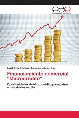 Financiamiento comercial &quot;Microcrdito&quot; 1