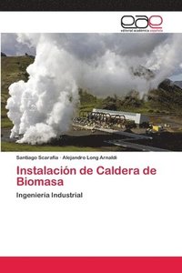 bokomslag Instalacin de Caldera de Biomasa