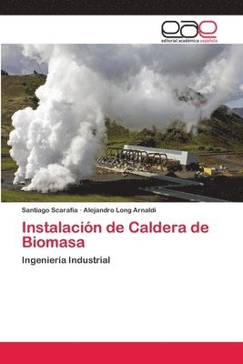 Instalacin de Caldera de Biomasa 1