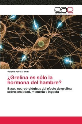 bokomslag ?Grelina es solo la hormona del hambre?