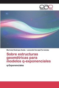 bokomslag Sobre estructuras geomtricas para modelos q-exponenciales