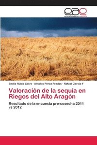 bokomslag Valoracin de la sequa en Riegos del Alto Aragn