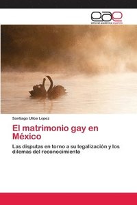 bokomslag El matrimonio gay en Mxico