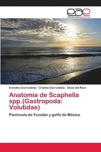 bokomslag Anatoma de Scaphella spp.(Gastropoda