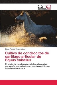 bokomslag Cultivo de condrocitos de cartlago articular de Equus caballus