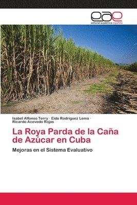 La Roya Parda de la Caa de Azcar en Cuba 1