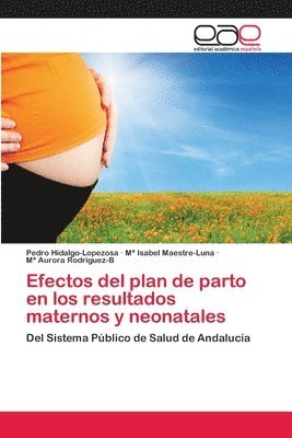 Efectos del plan de parto en los resultados maternos y neonatales 1