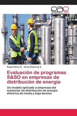 Evaluacin de programas S&SO en empresas de distribucin de energa 1