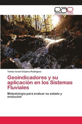 bokomslag Geoindicadores y su aplicacin en los Sistemas Fluviales