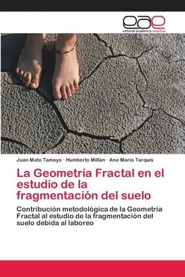 La Geometra Fractal en el estudio de la fragmentacin del suelo 1