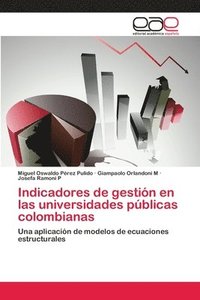 bokomslag Indicadores de gestin en las universidades pblicas colombianas