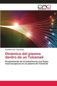 bokomslag Dinmica del plasma dentro de un Tokamak