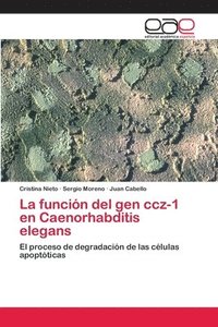 bokomslag La funcin del gen ccz-1 en Caenorhabditis elegans