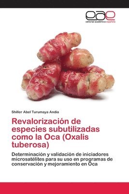 Revalorizacin de especies subutilizadas como la Oca (Oxalis tuberosa) 1