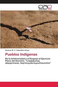 bokomslag Pueblos Indgenas