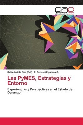 Las PyMES, Estrategias y Entorno 1