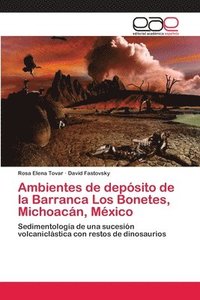bokomslag Ambientes de depsito de la Barranca Los Bonetes, Michoacn, Mxico
