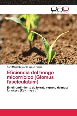Eficiencia del hongo micorrcico (Glomus fasciculatum) 1