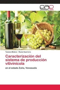 bokomslag Caracterizacin del sistema de produccin vitivincola