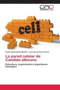 bokomslag La pared celular de Candida albicans