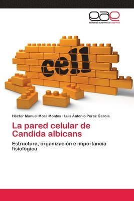 La pared celular de Candida albicans 1