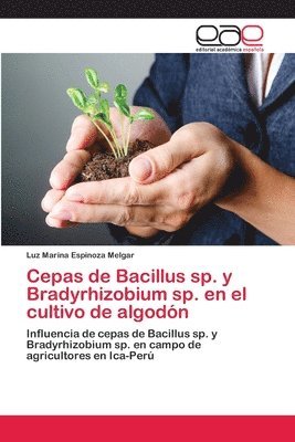 Cepas de Bacillus sp. y Bradyrhizobium sp. en el cultivo de algodn 1