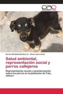 Salud ambiental, representacin social y perros callejeros 1