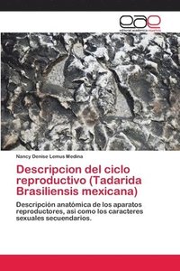bokomslag Descripcion del ciclo reproductivo (Tadarida Brasiliensis mexicana)