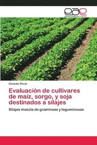 bokomslag Evaluacin de cultivares de maz, sorgo, y soja destinados a silajes