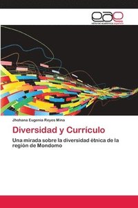 bokomslag Diversidad y Currculo