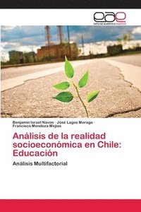 bokomslag Anlisis de la realidad socioeconmica en Chile