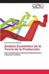 bokomslag Anlisis Econmico de la Teora de la Produccin