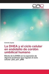 bokomslag La DHEA y el ciclo celular en endotelio de cordn umbilical humano