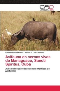 bokomslag Avifauna en cercas vivas de Managuaco, Sancti Spritus, Cuba