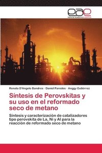 bokomslag Sintesis de Perovskitas y su uso en el reformado seco de metano