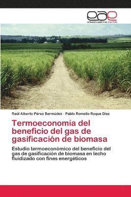 bokomslag Termoeconoma del beneficio del gas de gasificacin de biomasa