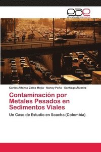 bokomslag Contaminacin por Metales Pesados en Sedimentos Viales