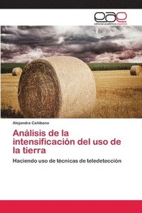 bokomslag Anlisis de la intensificacin del uso de la tierra