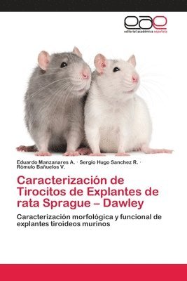 Caracterizacin de Tirocitos de Explantes de rata Sprague - Dawley 1