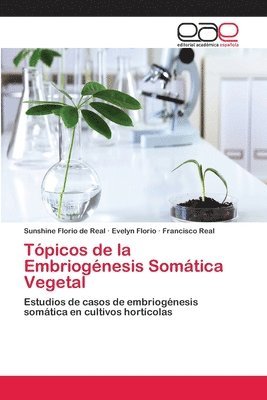 bokomslag Tpicos de la Embriognesis Somtica Vegetal