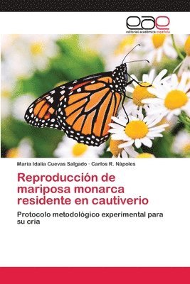 Reproduccin de mariposa monarca residente en cautiverio 1