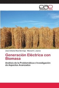 bokomslag Generacin Elctrica con Biomasa
